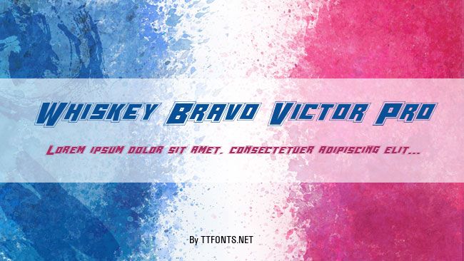 Whiskey Bravo Victor Pro example