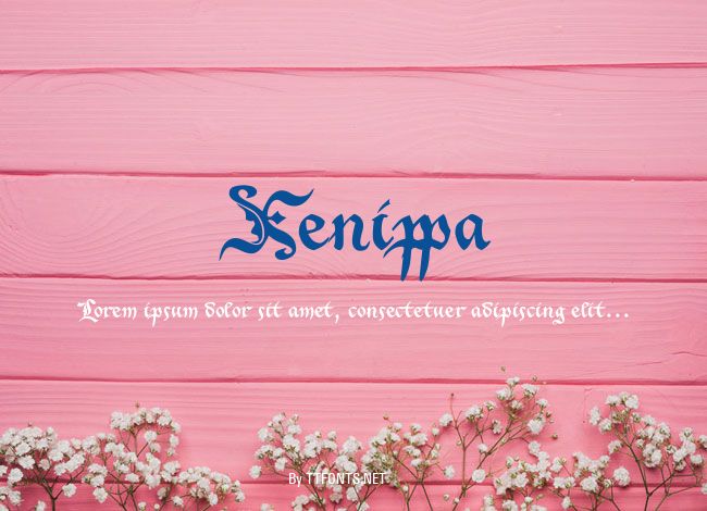 Xenippa example
