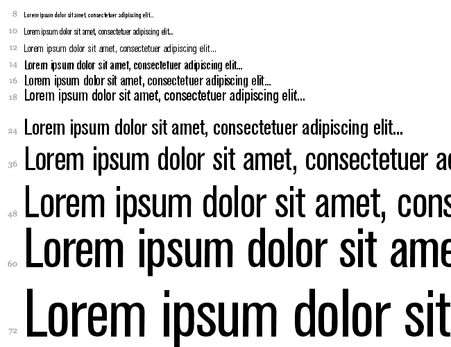 AkzeleratCondensed Cascada 