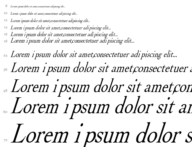 Albatross-Italic Cachoeira 