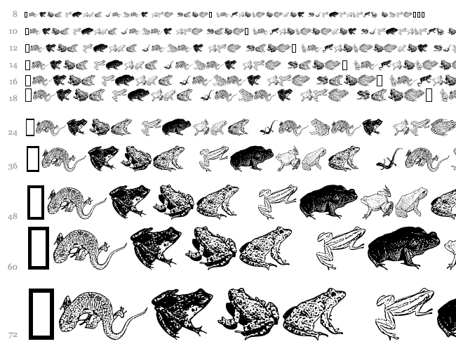 AmphibiPrint Cascada 