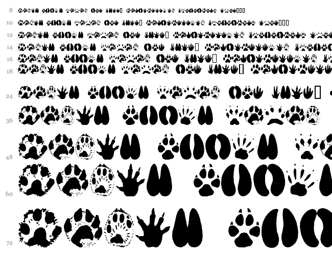 AnimalTracks Wasserfall 