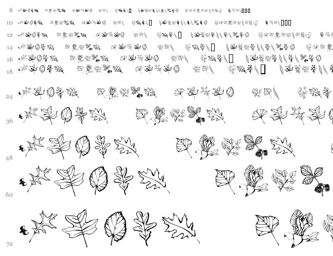 ArborisFolium Водопад 