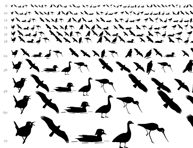 Bird Silhouettes reverse Cascade 