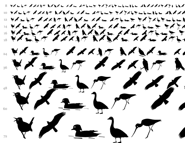 Bird Silhouettes Cascata 