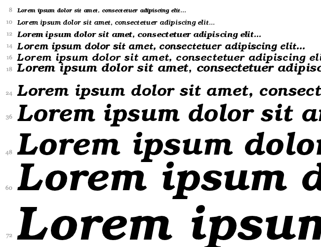 Bookman CE Cascata 