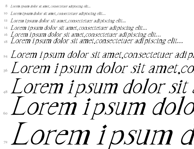 Blankboxer-Italic Cascada 