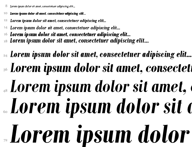 Bodoni MT Condensed Wasserfall 