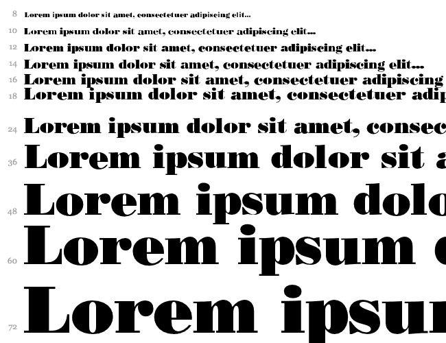 Bodoni Poster SSi Cascade 