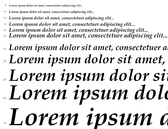 Book Antiqua Bold Italic Водопад 