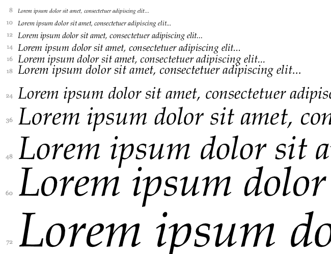 Book Antiqua Italic Cascade 