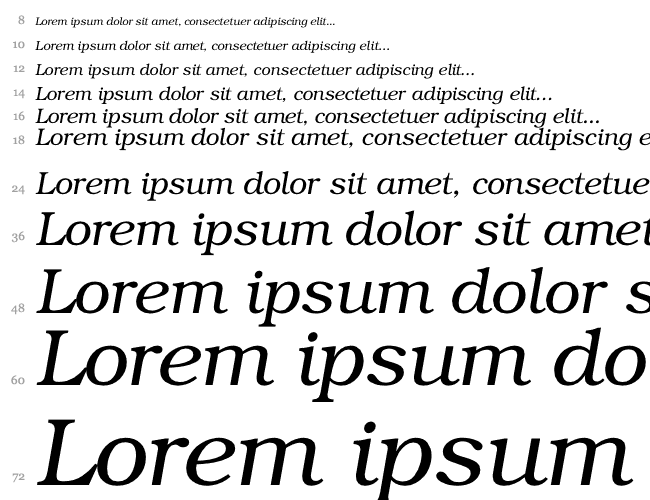 Bookman-LightItalic Wasserfall 