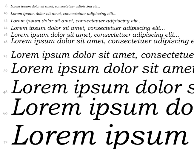 Bookman Old Style Italic Cascata 