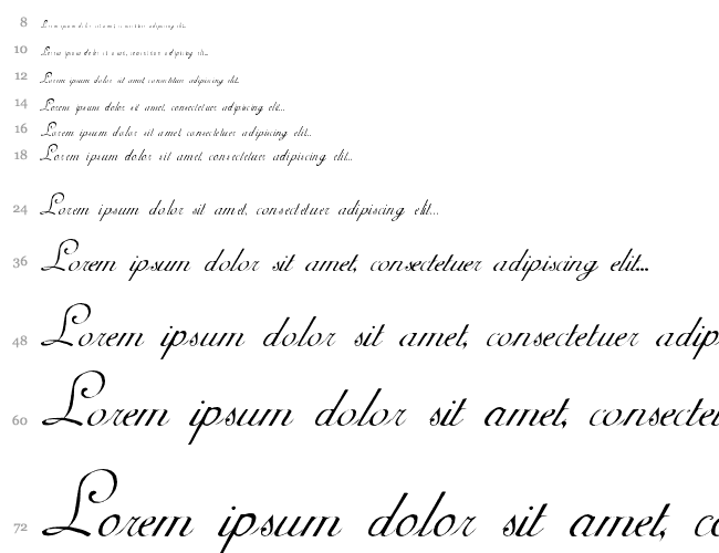 Carmel Script SSi Cascata 