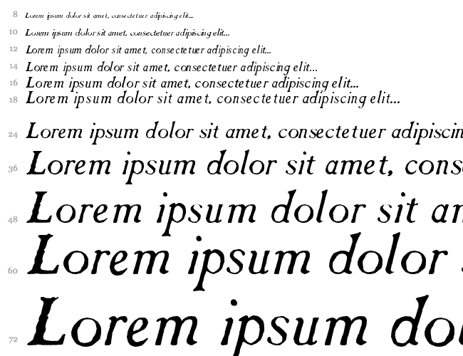 Caslon Antique Italic Wasserfall 