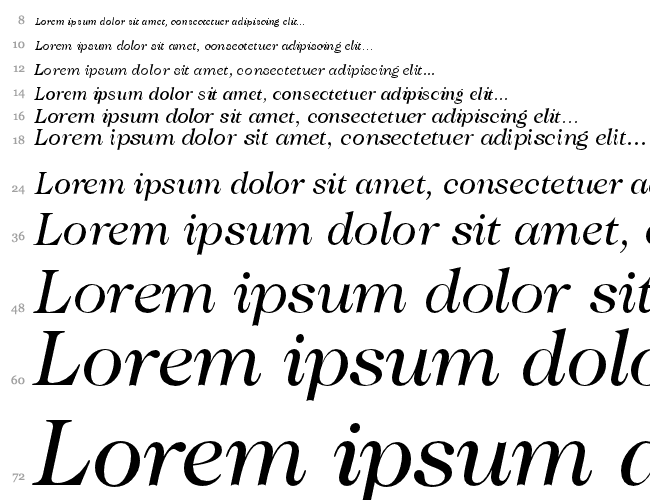 Caslon224 Bk BT Cascade 