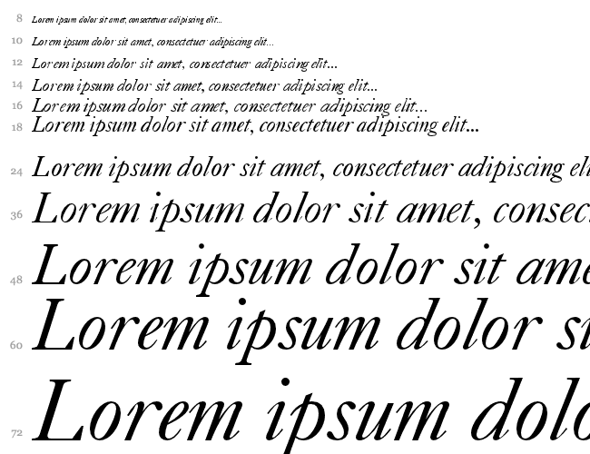 Caslon540 BT Cachoeira 