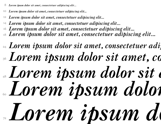 Caslon-BoldItalic Cascada 