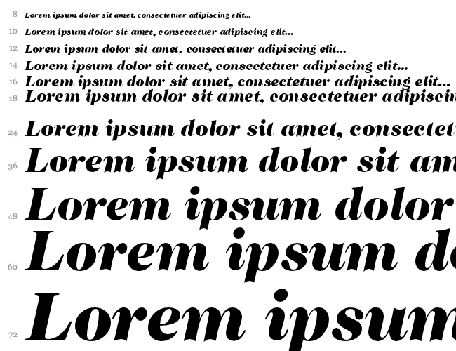 Caslon335Black Водопад 