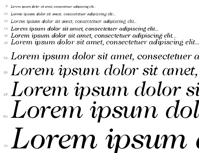 Caslon335 Cascata 