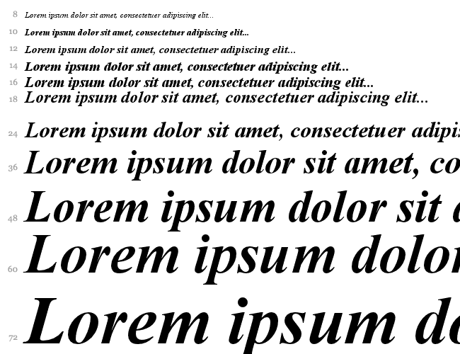 Times new roman bold 2