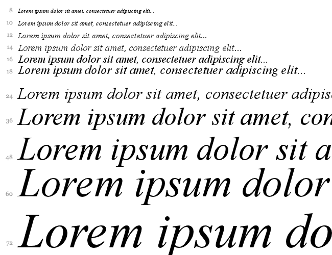 Times New Roman CE Водопад 