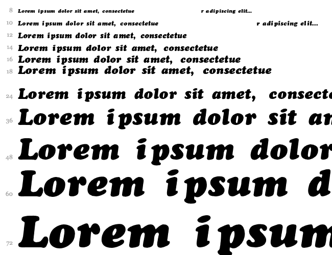 ChaceyBlack-Thin-Italic Cascade 