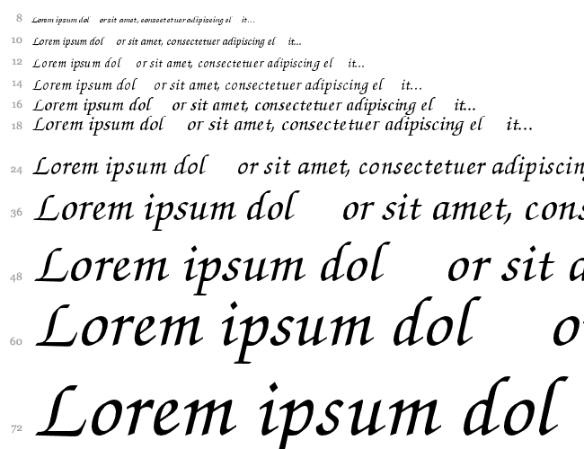 Chancery Script Medium SSi Водопад 