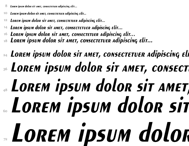 Exotic-Bold Th Italic Wasserfall 