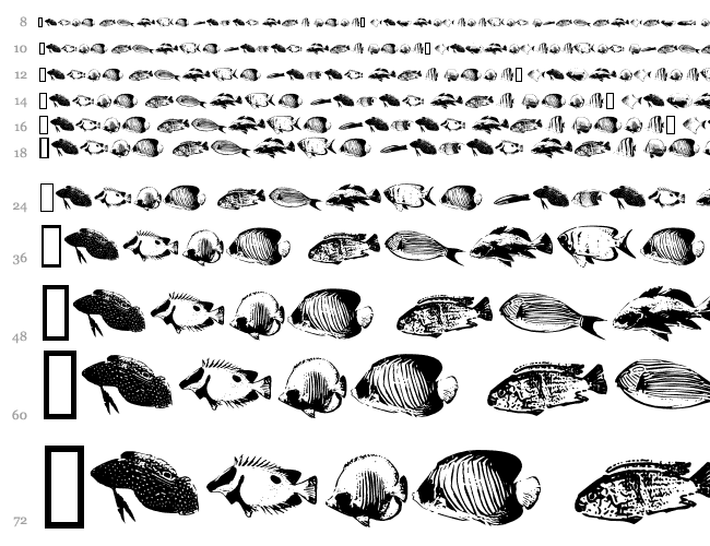 FishyPrint AOE Cascade 