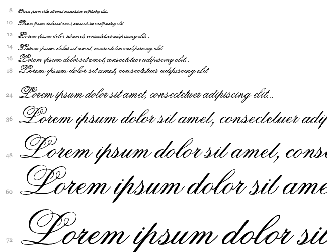 FlemishScript BT Cascata 