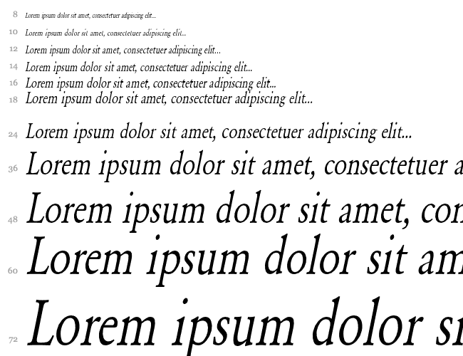 Garamond-Normal Condensed Wasserfall 