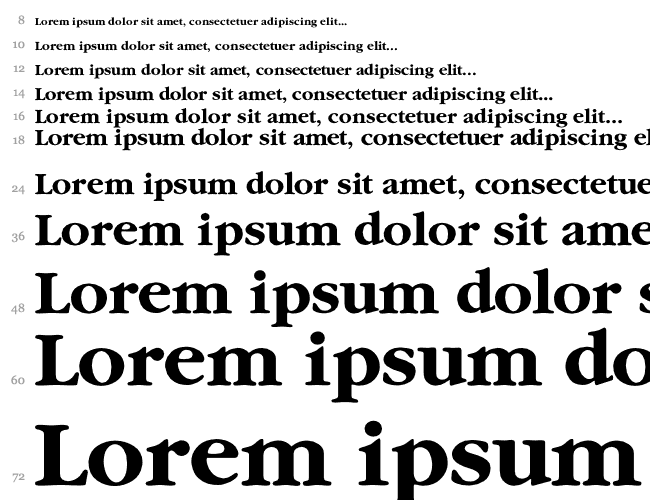 Garamond-Bold Cascada 