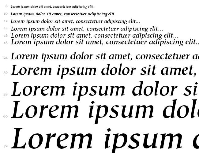 Glossary Medium SSi Cascata 