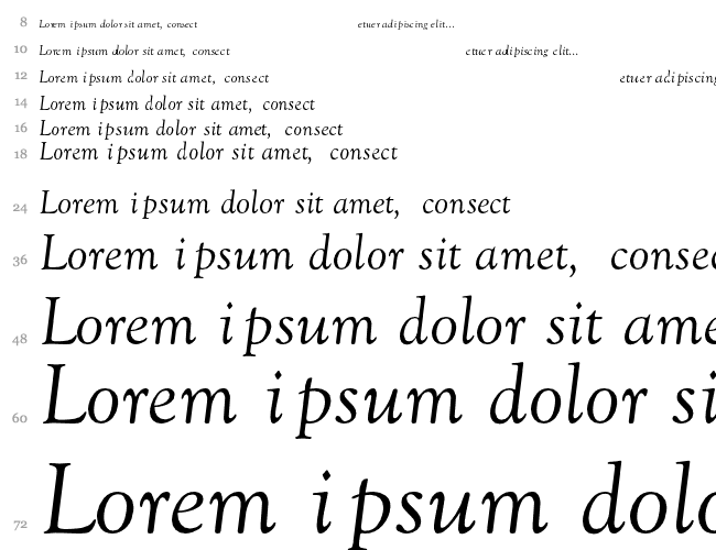 Goudy-Old-Style-Normal-Italic Cascada 