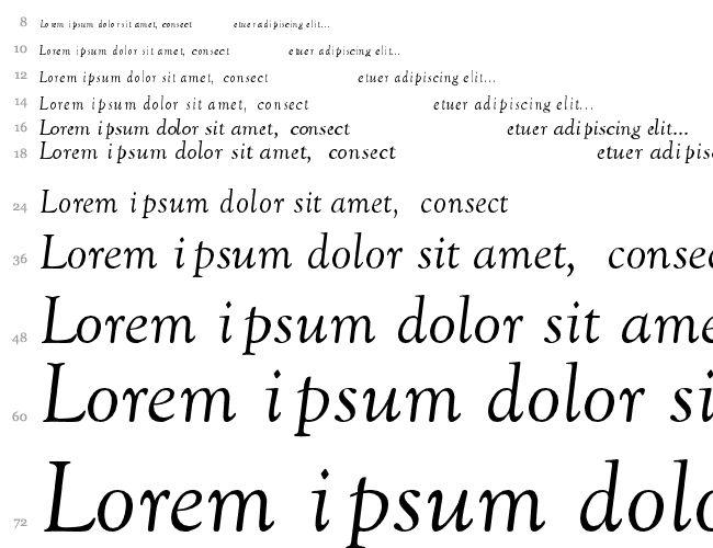 Grande Oldstyle Italic Cascade 