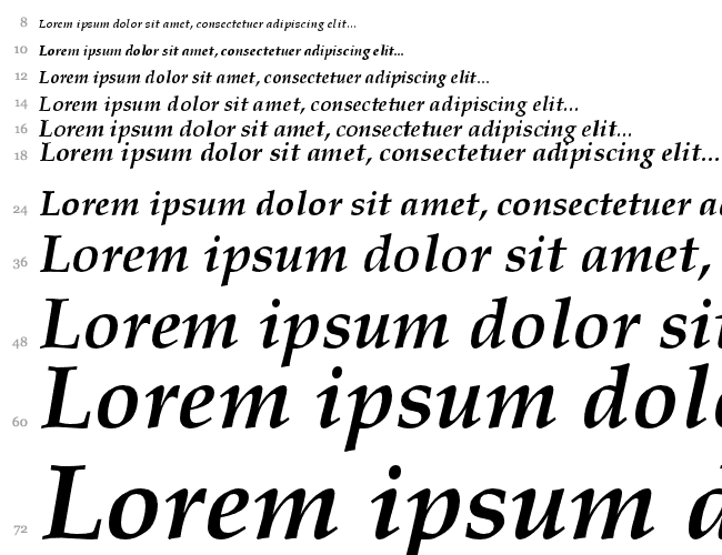 HI Piilani Bold Italic Cascade 