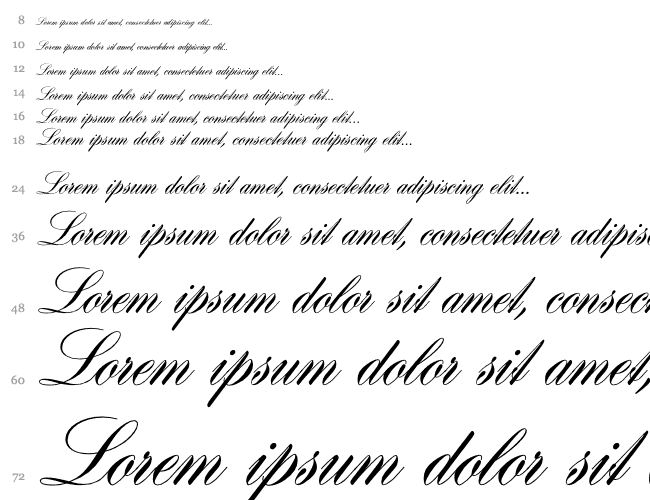 Hogarth Script D Cascada 