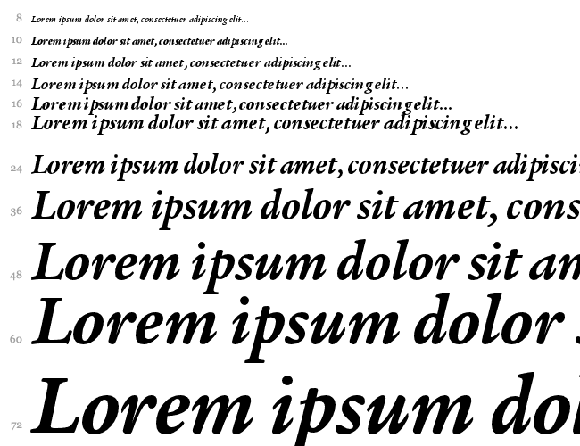 Legacy Serif ITC TT Cascada 