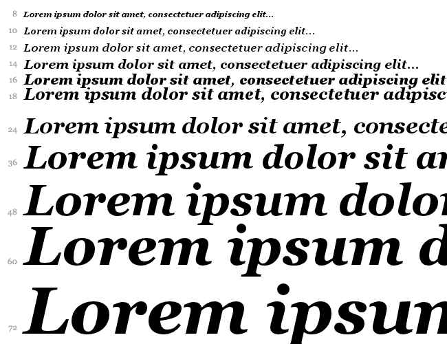 MS Reference Serif Водопад 