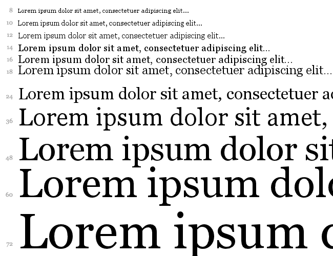 MS Reference Serif Cascata 