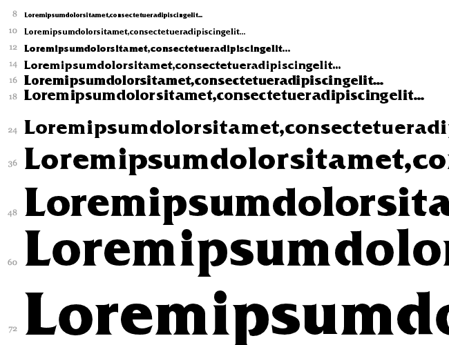 Muster Condensed SSi Cascade 