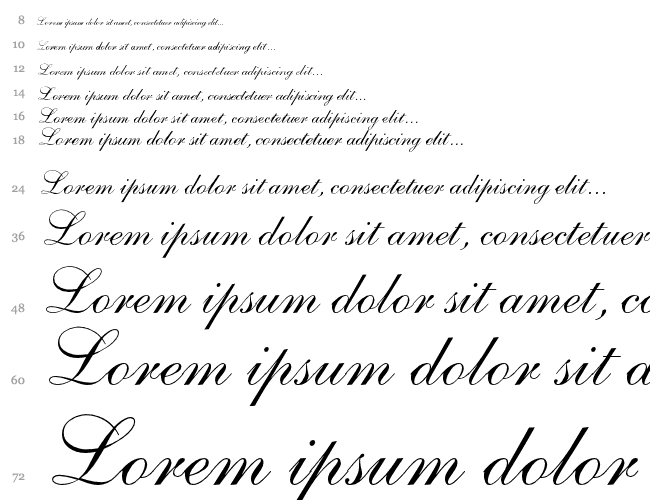 Shelley-AllegroScript Cascade 