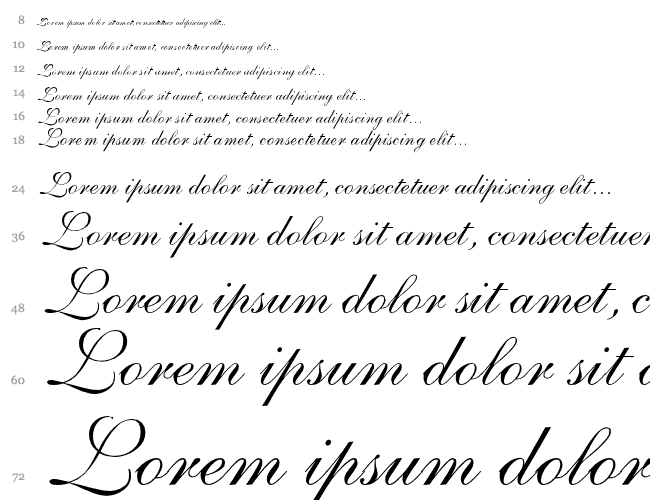 Nelson Script Large Водопад 