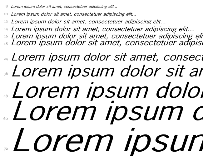 NewsGothic Wd Italic Cascade 