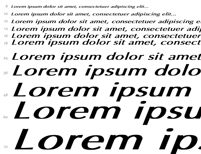 Optima Bold Italic Ex BI Cascata 