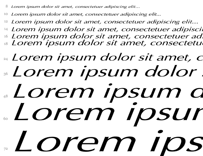 Optima Italic Ex Italic Cascade 