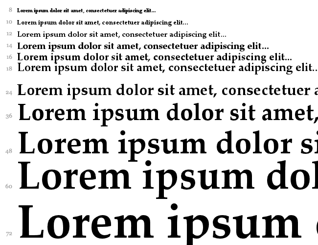 Palatino Linotype Cascata 
