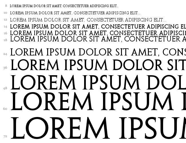 Penumbra Serif Web Cascada 