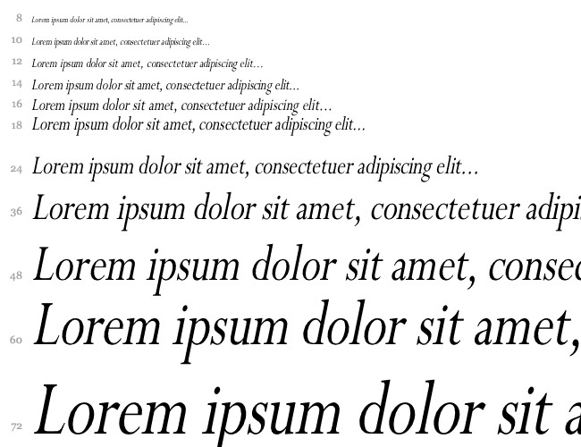 Perpetua Cn Italic Cascada 